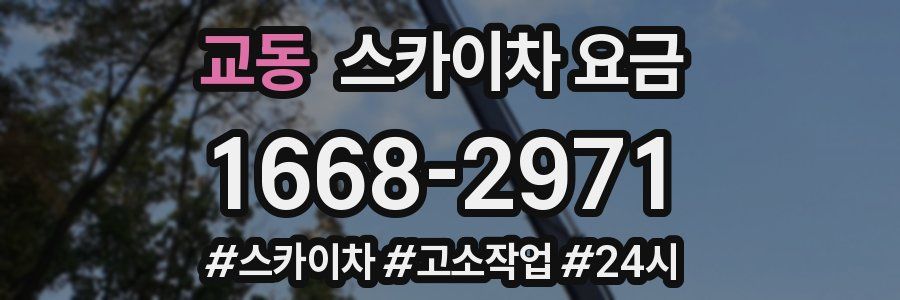 교동 스카이차 요금