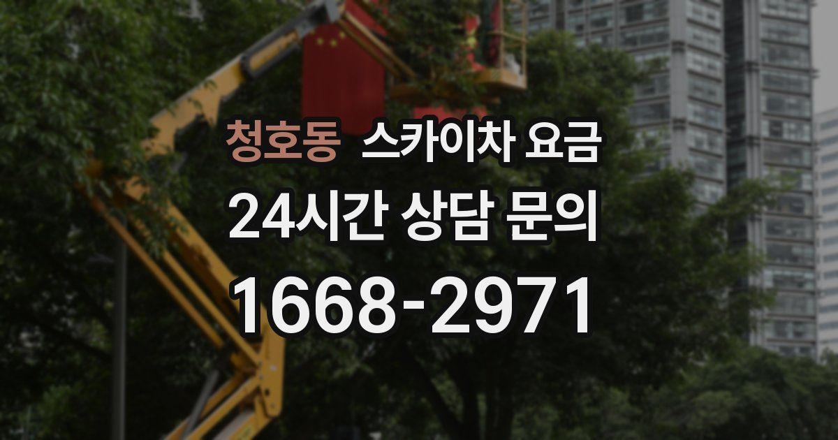 청호동 스카이차 요금