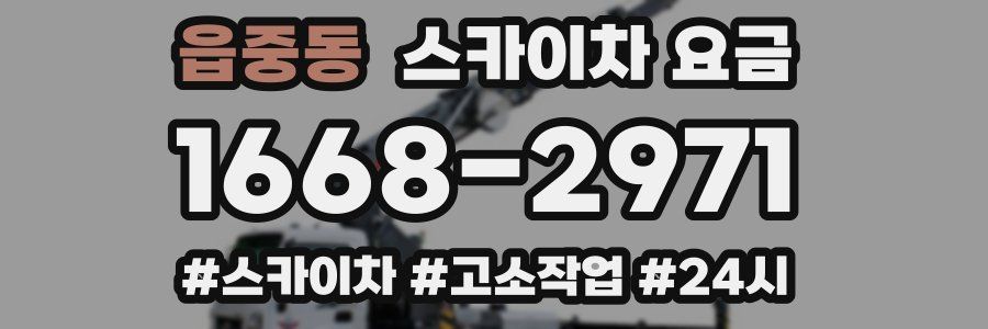 읍중동 스카이차 요금