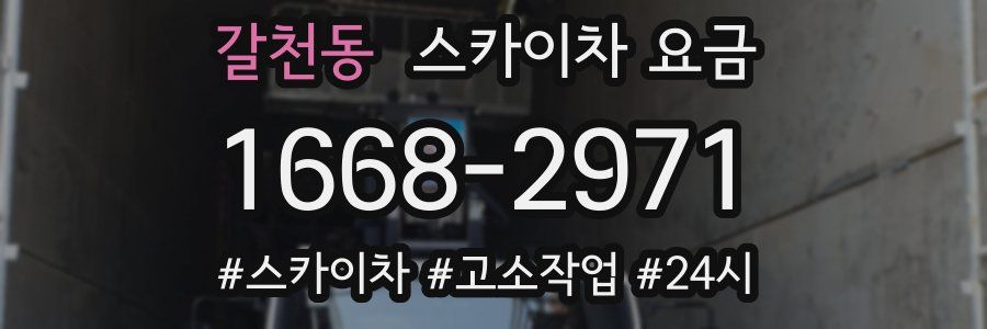 갈천동 스카이차 요금