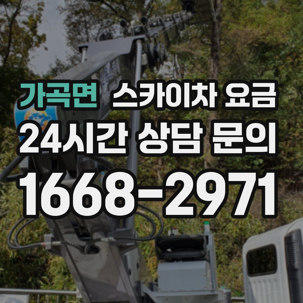 가곡면 스카이차 요금