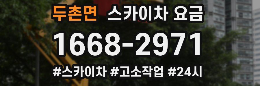 두촌면 스카이차 요금