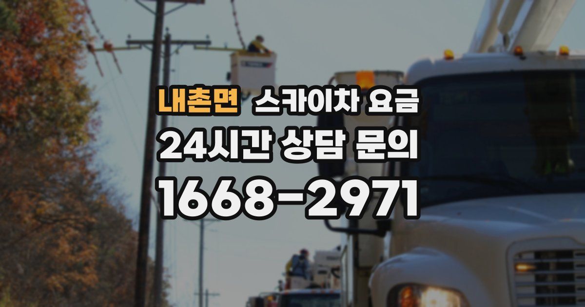 내촌면 스카이차 요금