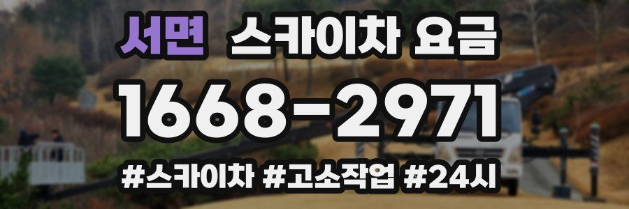 서면 스카이차 요금