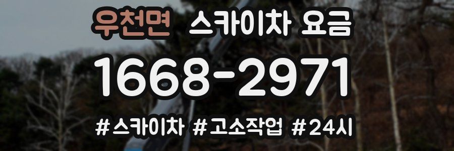 우천면 스카이차 요금