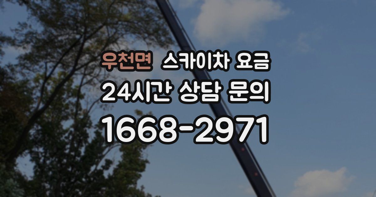 우천면 스카이차 요금