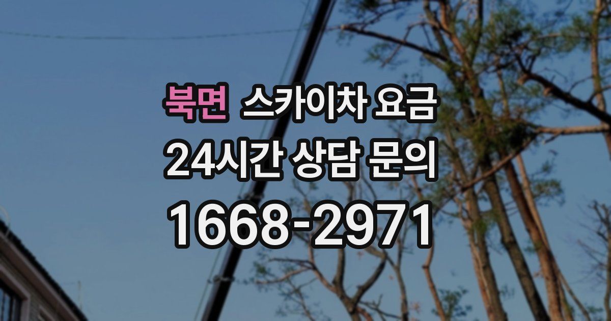 북면 스카이차 요금