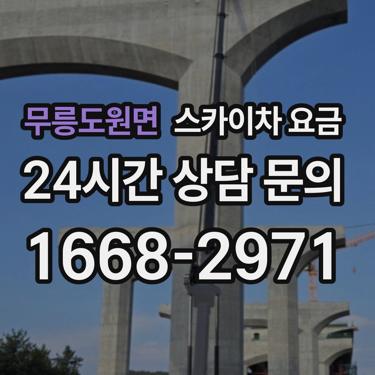 무릉도원면 스카이차 요금