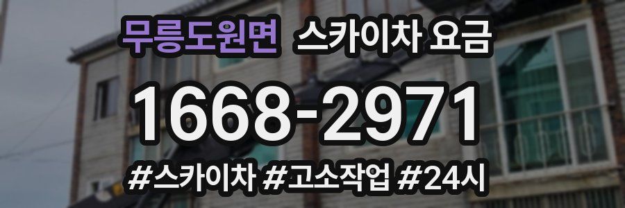 무릉도원면 스카이차 요금