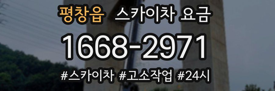 평창읍 스카이차 요금