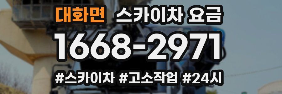 대화면 스카이차 요금