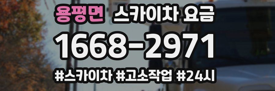 용평면 스카이차 요금