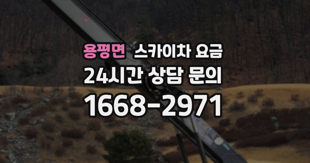 용평면 스카이차 요금