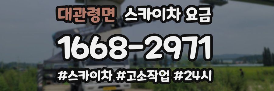 대관령면 스카이차 요금