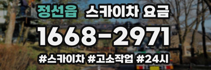 정선읍 스카이차 요금