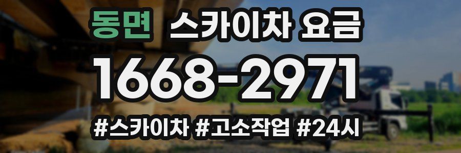 동면 스카이차 요금