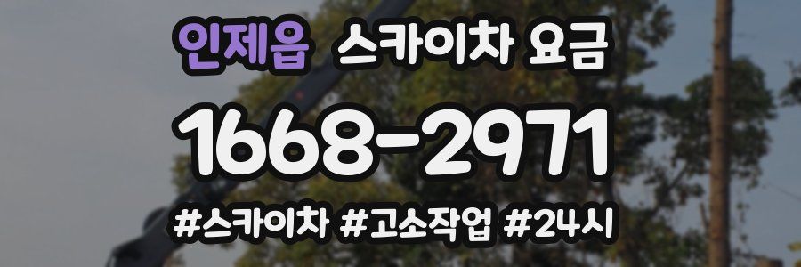 인제읍 스카이차 요금