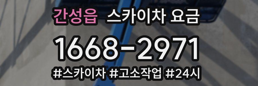 간성읍 스카이차 요금