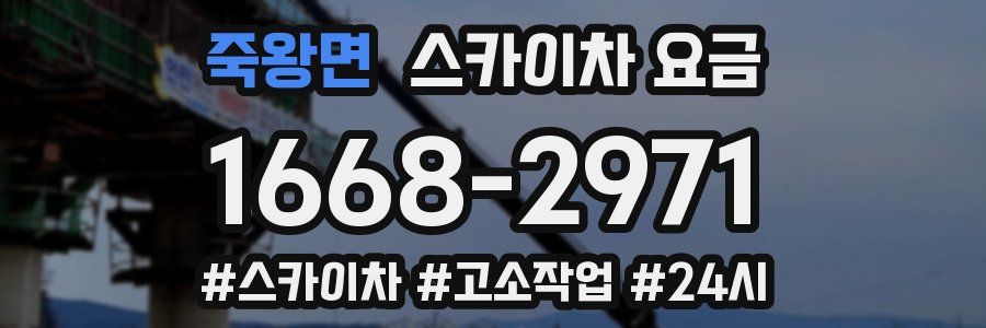 죽왕면 스카이차 요금