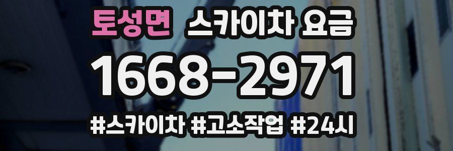 토성면 스카이차 요금