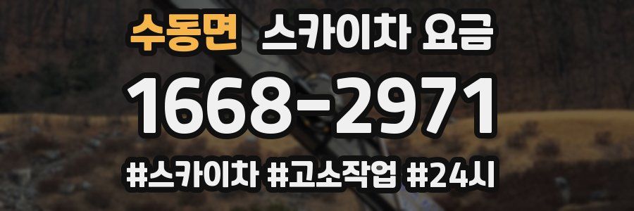 수동면 스카이차 요금