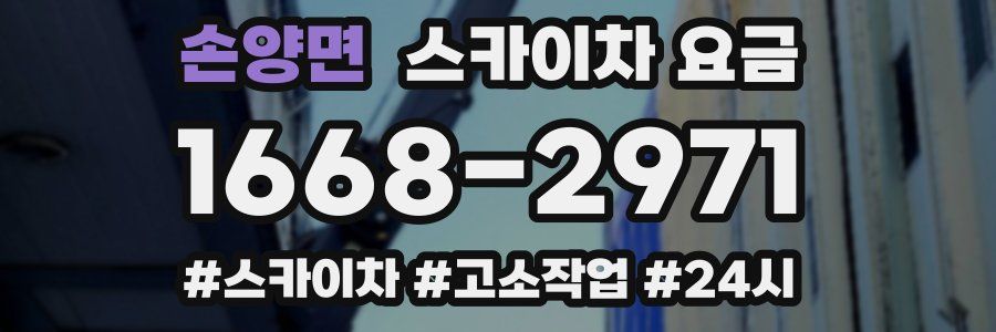 손양면 스카이차 요금