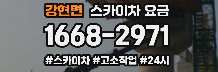 강현면 스카이차 요금