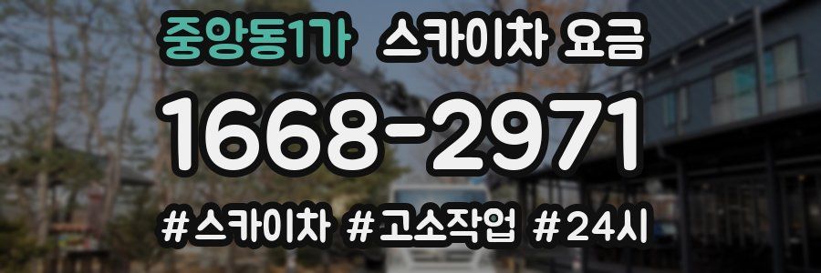 중앙동1가 스카이차 요금