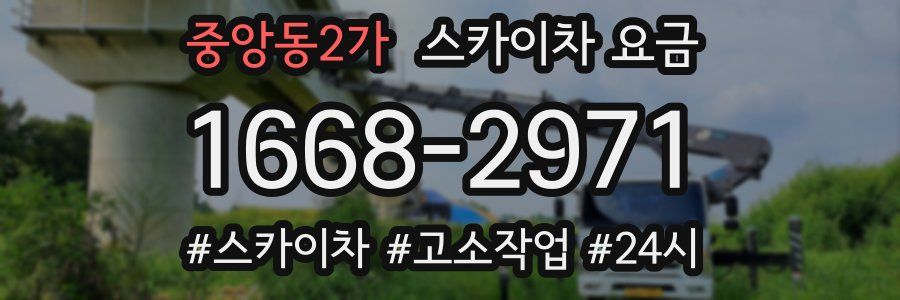 중앙동2가 스카이차 요금