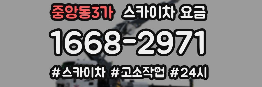 중앙동3가 스카이차 요금