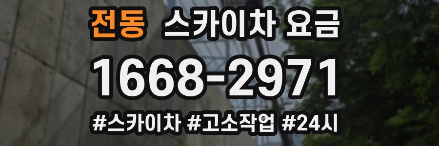 전동 스카이차 요금