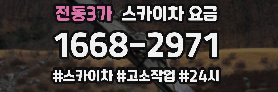 전동3가 스카이차 요금