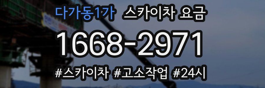 다가동1가 스카이차 요금