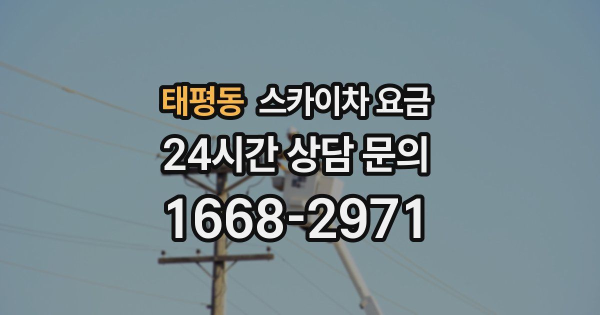 태평동 스카이차 요금