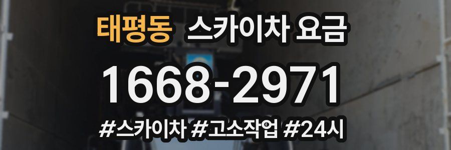 태평동 스카이차 요금