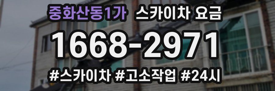 중화산동1가 스카이차 요금