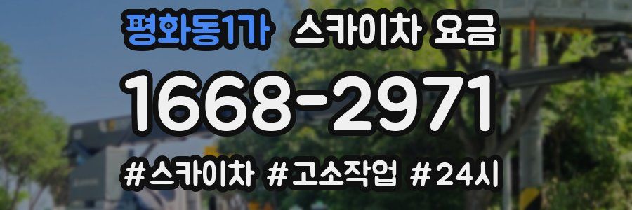 평화동1가 스카이차 요금