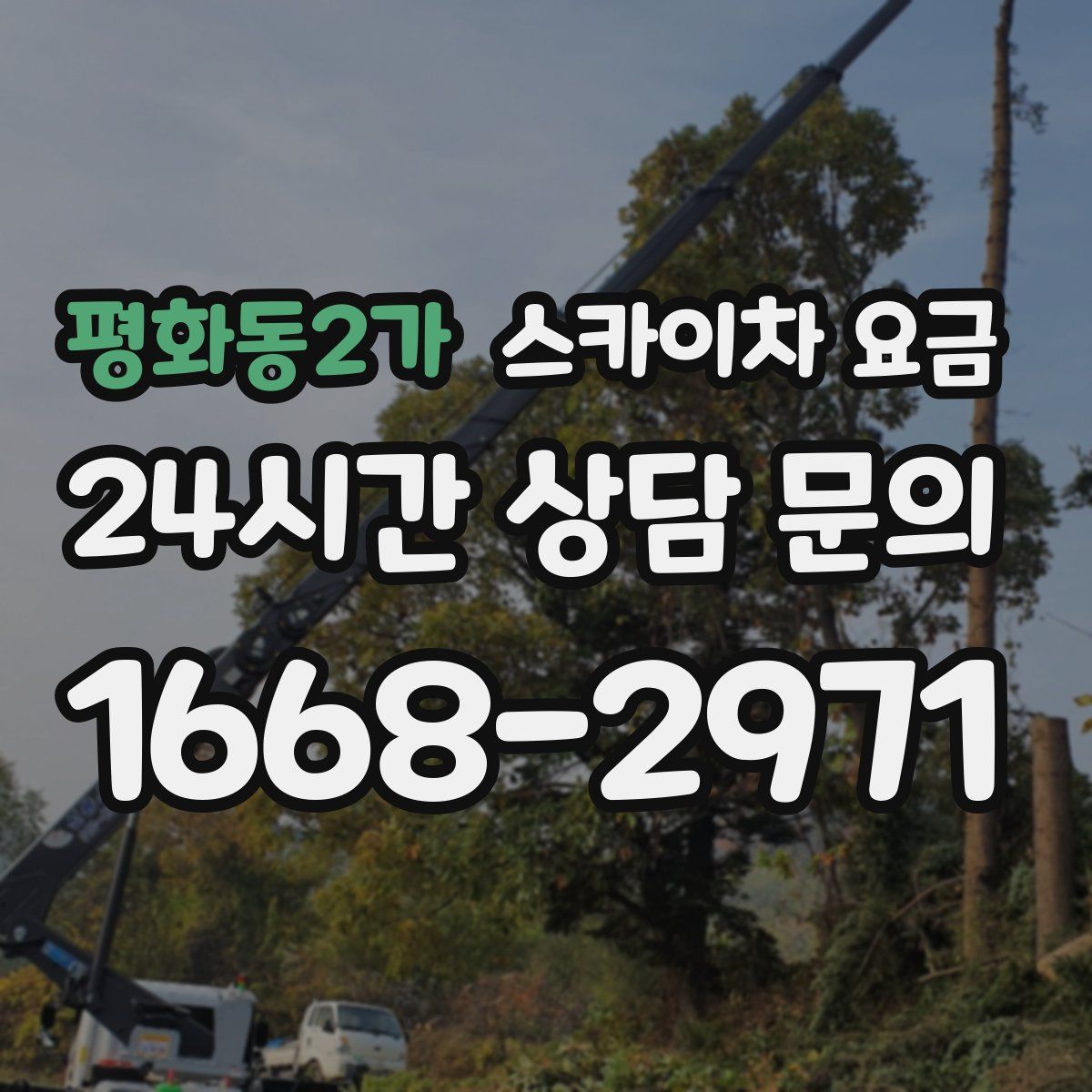 평화동2가 스카이차 요금