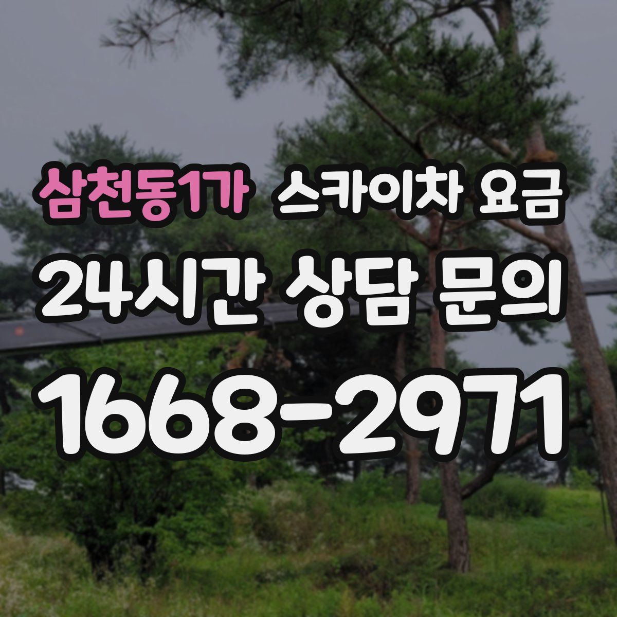 삼천동1가 스카이차 요금