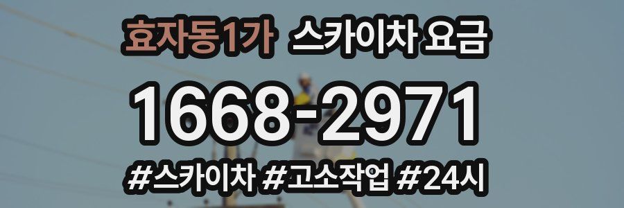 효자동1가 스카이차 요금