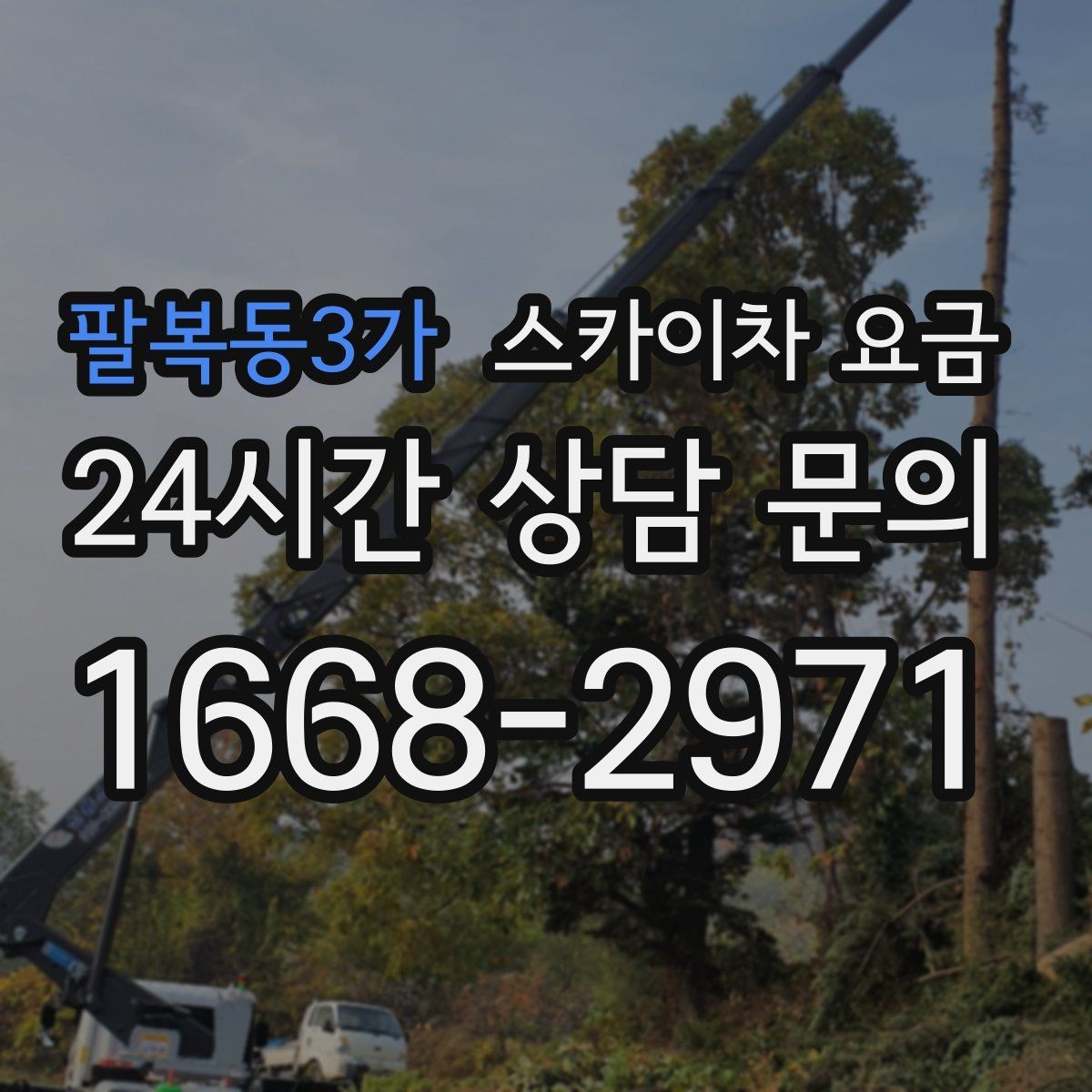 팔복동3가 스카이차 요금 작업 지점 수를 적으면 견적이 빨라집니다
