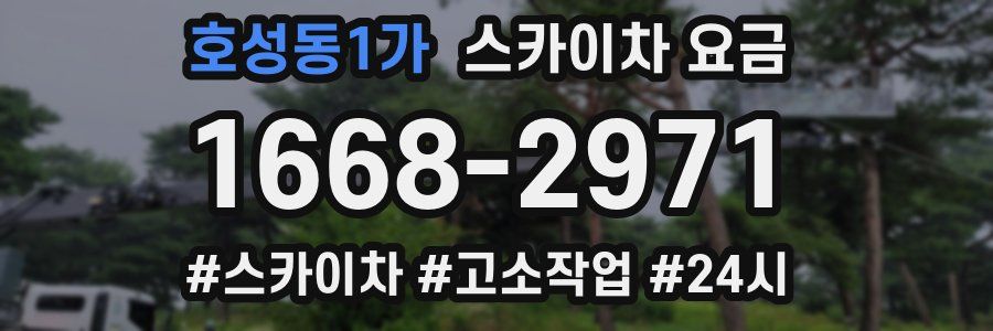 호성동1가 스카이차 요금
