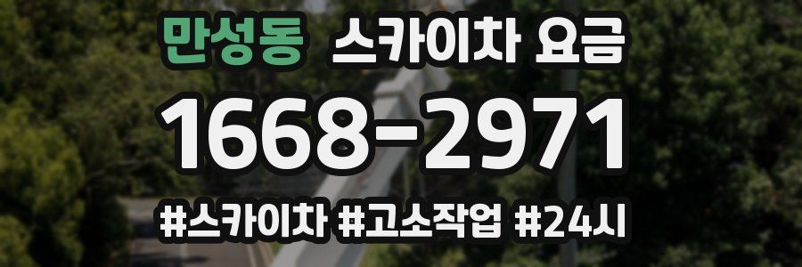 만성동 스카이차 요금