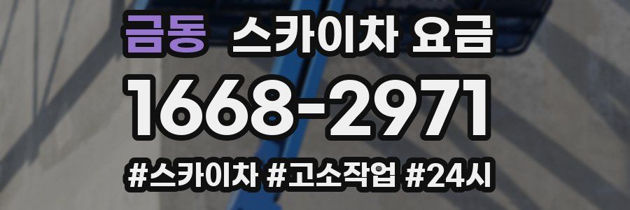 금동 스카이차 요금