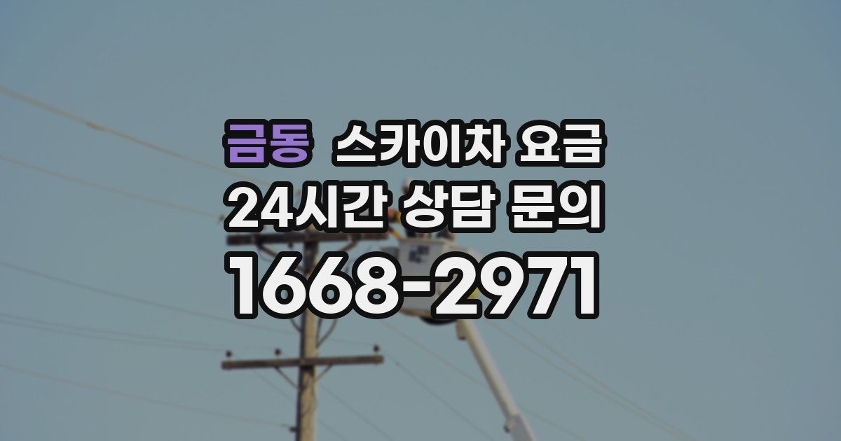 금동 스카이차 요금