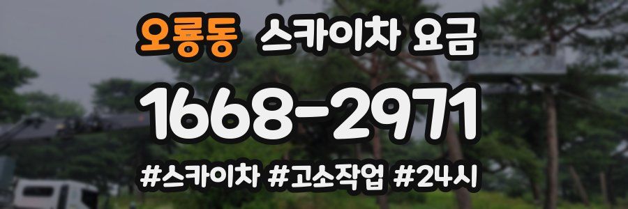 오룡동 스카이차 요금