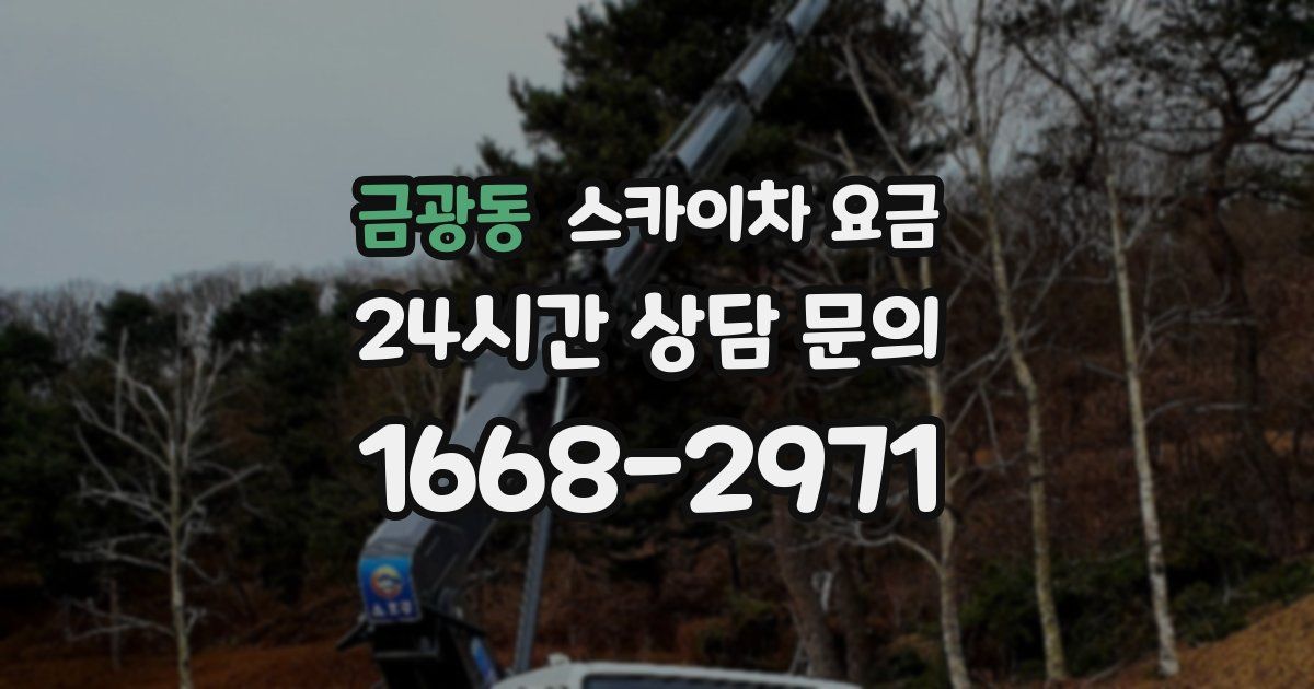 금광동 스카이차 요금