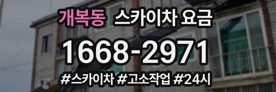 개복동 스카이차 요금