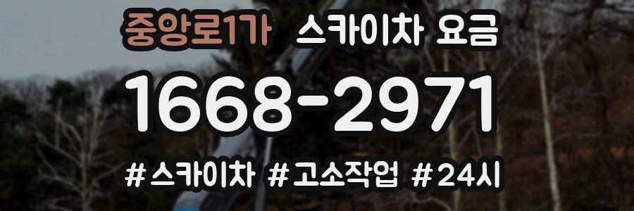 중앙로1가 스카이차 요금