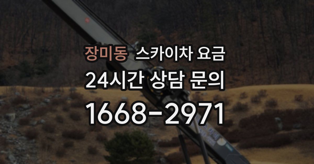 장미동 스카이차 요금